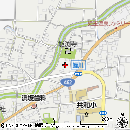 埼玉県本庄市児玉町蛭川166-2周辺の地図