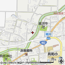 埼玉県本庄市児玉町蛭川119-3周辺の地図