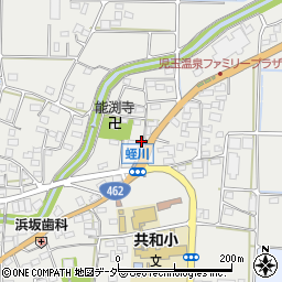埼玉県本庄市児玉町蛭川163-1周辺の地図