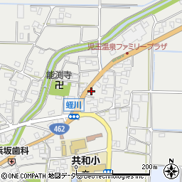 埼玉県本庄市児玉町蛭川164-2周辺の地図