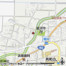 埼玉県本庄市児玉町蛭川119-1周辺の地図