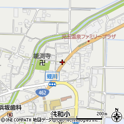 埼玉県本庄市児玉町蛭川164周辺の地図