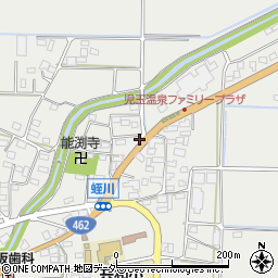 埼玉県本庄市児玉町蛭川164-20周辺の地図