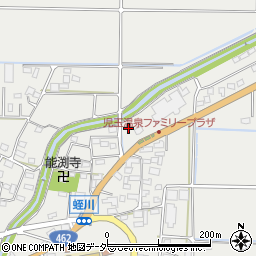 埼玉県本庄市児玉町蛭川145-1周辺の地図