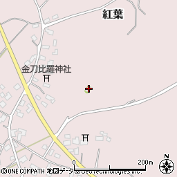茨城県鉾田市紅葉860周辺の地図