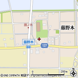 埼玉県深谷市藤野木119周辺の地図