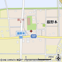 埼玉県深谷市藤野木119-5周辺の地図