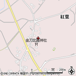 茨城県鉾田市紅葉811周辺の地図