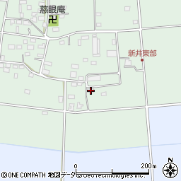 埼玉県深谷市新井195周辺の地図