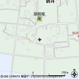 埼玉県深谷市新井215周辺の地図