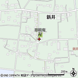 埼玉県深谷市新井1041周辺の地図