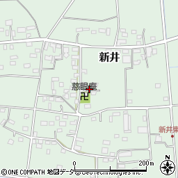 埼玉県深谷市新井423周辺の地図