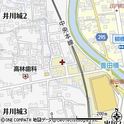 大井川整骨院周辺の地図
