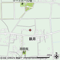 埼玉県深谷市新井438周辺の地図