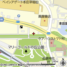 埼玉県本庄市早稲田の杜1丁目11周辺の地図