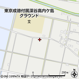 埼玉県深谷市内ケ島197周辺の地図