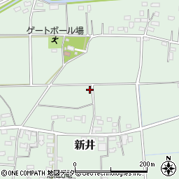 埼玉県深谷市新井1078周辺の地図