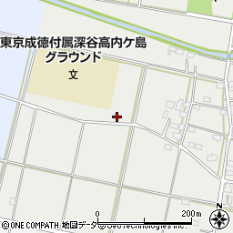 埼玉県深谷市内ケ島234周辺の地図