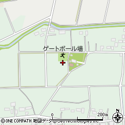 埼玉県深谷市新井666周辺の地図