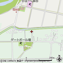 埼玉県深谷市新井533周辺の地図