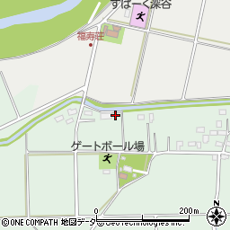 埼玉県深谷市新井710周辺の地図