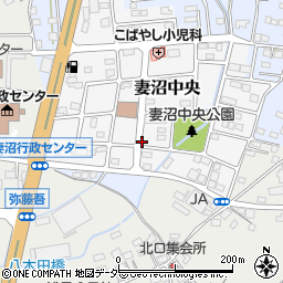 埼玉県熊谷市妻沼中央周辺の地図