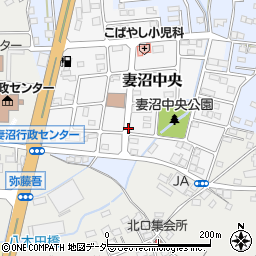 埼玉県熊谷市妻沼中央周辺の地図