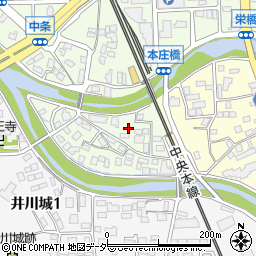 長野県松本市中条13周辺の地図