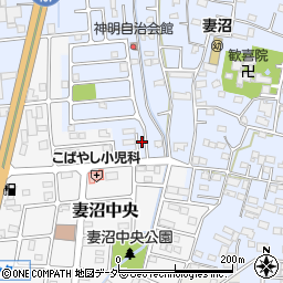 埼玉県熊谷市妻沼2024周辺の地図