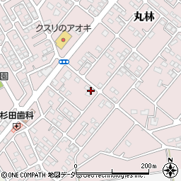 栃木県下都賀郡野木町丸林670-6周辺の地図