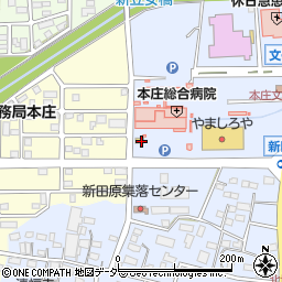 フレンド薬局本庄店周辺の地図