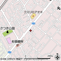 栃木県下都賀郡野木町丸林670-11周辺の地図
