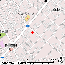 栃木県下都賀郡野木町丸林670周辺の地図