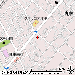 栃木県下都賀郡野木町丸林670-2周辺の地図