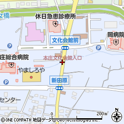 本庄文化会館入口周辺の地図
