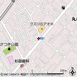 栃木県下都賀郡野木町丸林675周辺の地図