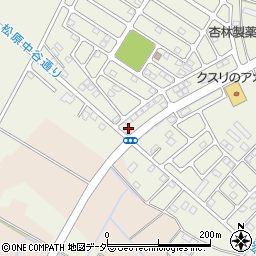 栃木県下都賀郡野木町友沼6428-25周辺の地図