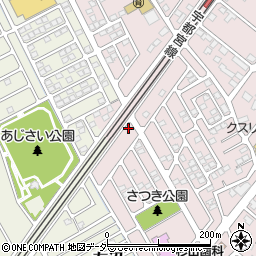 栃木県下都賀郡野木町丸林224-9周辺の地図