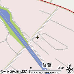 茨城県鉾田市紅葉1416周辺の地図