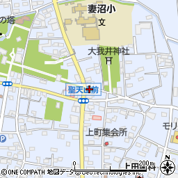 埼玉県熊谷市妻沼1475周辺の地図