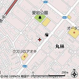 栃木県下都賀郡野木町丸林556-19周辺の地図