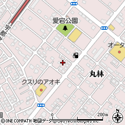 栃木県下都賀郡野木町丸林556-18周辺の地図
