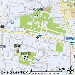 埼玉県熊谷市妻沼1542周辺の地図