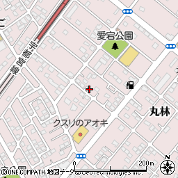 栃木県下都賀郡野木町丸林556-46周辺の地図