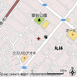 栃木県下都賀郡野木町丸林556-13周辺の地図