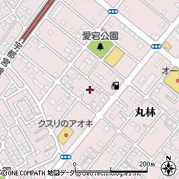 栃木県下都賀郡野木町丸林556周辺の地図