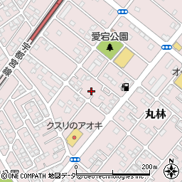 栃木県下都賀郡野木町丸林556-32周辺の地図