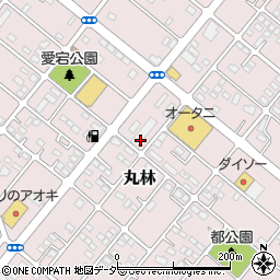 栃木県下都賀郡野木町丸林647周辺の地図