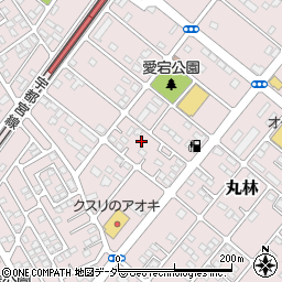 栃木県下都賀郡野木町丸林556-8周辺の地図