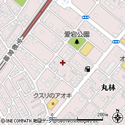 栃木県下都賀郡野木町丸林556-3周辺の地図